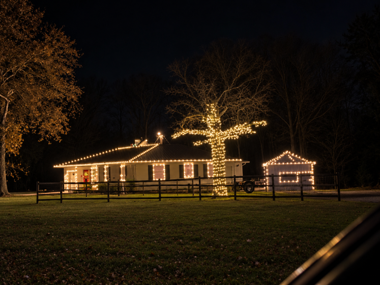 Holiday lights at night